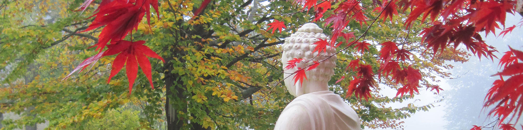header-slider-buddha