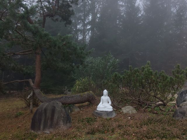 Bayerischer Wald 21