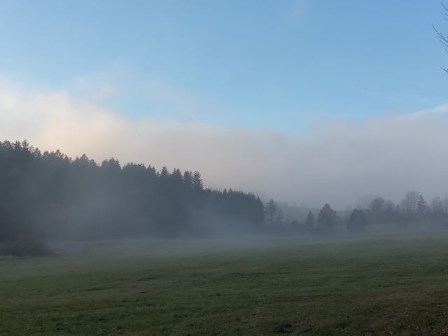 Bayerischer Wald 22